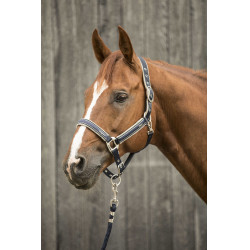 Cabestro Lami-Cell Elegance Marino / champán Azul