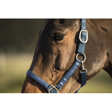 Collarín Lami-Cell LC Azul atolón