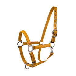 Collarín Lami-Cell LC Miel / dorado Amarillo