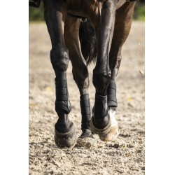 Protectores cerrados LAMI-CELL V22 Brushing boots Negro