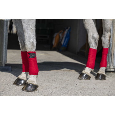 Bandas de polo Riding World Eco Roja Rojo