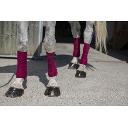 Bandas de polo Riding World Eco Burdeos