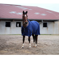 Camisa polar Equithème Classic Azul marino