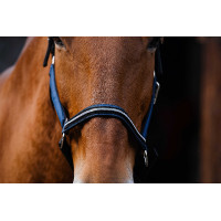 Cabezada de nailon Equithème Domino Azul Cabezada de nailon Equithème Domino Azul