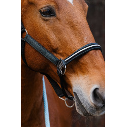 Cabezada de nailon Equithème Domino Verde