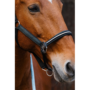Cabezada de nailon Equithème Domino Verde
