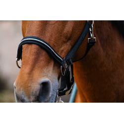 Cabezada de nailon Equithème Domino Verde