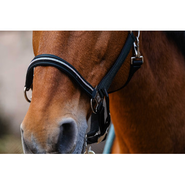 Cabezada de nailon Equithème Domino Verde