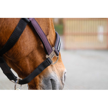 Cabezada de nailon Equithème Domino Púrpura Violeta