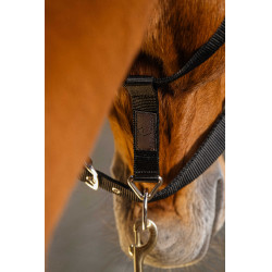 Cabezada de nailon Equithème Domino Burdeos