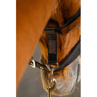 Cabezada de nailon Equithème Domino Burdeos