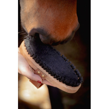 Cepillo PENELOPE modelo grande