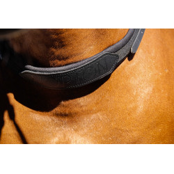 Collar de montar a pelo Norton Negro Collar de montar a pelo Norton Negro