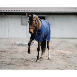 Camisa Equithème Classic 3D mesh Azul marino