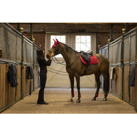 Guarniciones con protectores de menudillo Lami-Cell Elite Roja Rojo