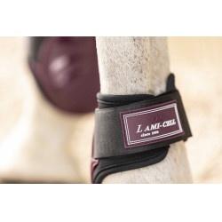 Guarniciones con protectores de menudillo Lami-Cell Elite Burdeos Guarniciones con protectores de menudillo Lami-Cell Elite Burdeos