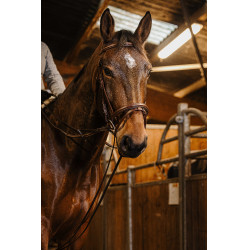 Riendas alemanas cincha Norton Pro 13mm Havana Marrón