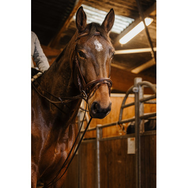 Riendas alemanas cincha Norton Pro 13mm Havana Marrón