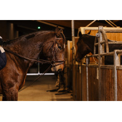 Riendas alemanas cincha Norton Pro 13mm Havana Marrón