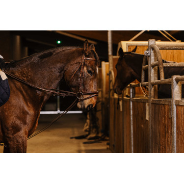 Riendas alemanas cincha Norton Pro 13mm Havana Marrón