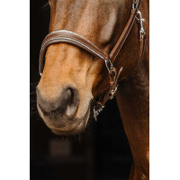 Cabezada de cuero Norton Rock Havana Marrón Cabezada de cuero Norton Rock Havana Marrón