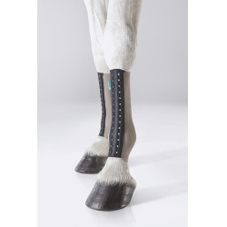 Equicrown Fit Silver - Posterior