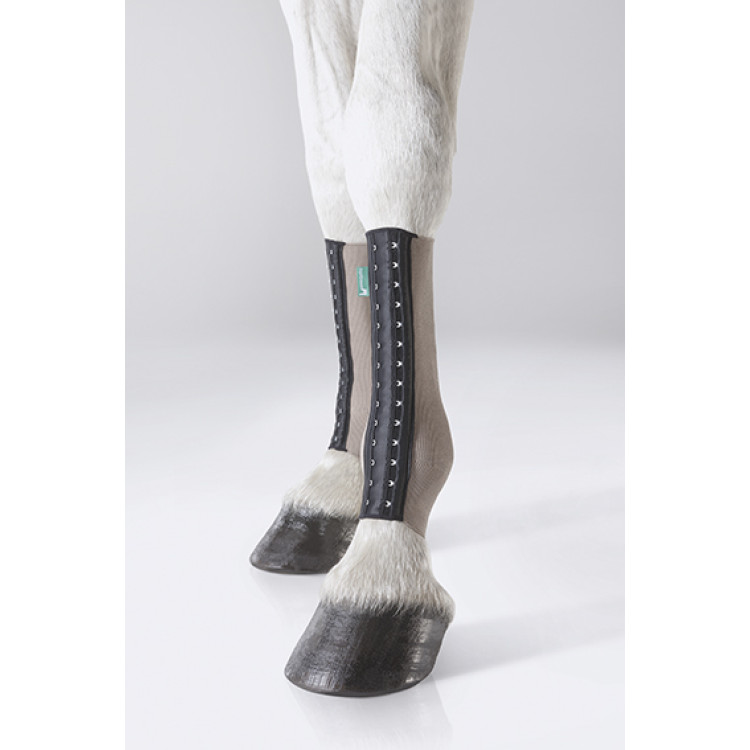 Equicrown Fit Silver - Posterior