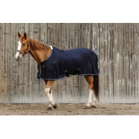 Camisa EQUITHEME Micro Mesh Azul marino