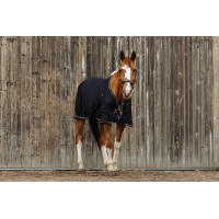 Camisa EQUITHEME Micro Mesh Azul marino