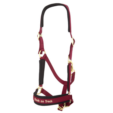 Cabezada de cuadra Werano Back On Track Roja