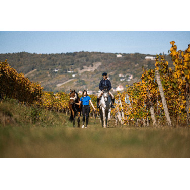 Sudadera EQUITHÈME 'Hervé' Azul marino