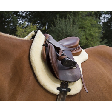 Mantilla Teddy Back On Track Mantilla Teddy Back On Track