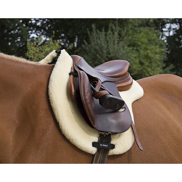 Mantilla Teddy Back On Track Mantilla Teddy Back On Track