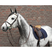 Mantilla No.Ⅰ CSO Back On Track Negro