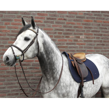 Mantilla No.Ⅰ CSO Back On Track Negro