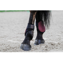 Protectores de menudillo EQUITHÈME Burdeos