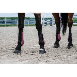Protectores de menudillo EQUITHÈME Burdeos