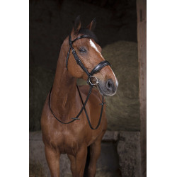 Riendas de red NORTON - 16 mm