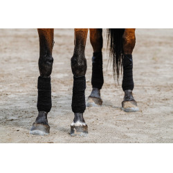 Ventas de polo EQUITHÈME Negro