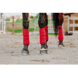 Ventas de polo EQUITHÈME Roja Rojo