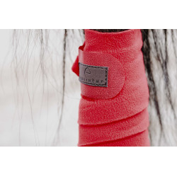 Ventas de polo EQUITHÈME Roja Rojo