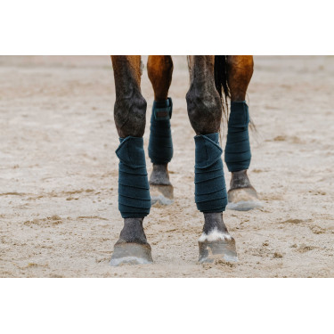 Ventas de polo EQUITHÈME Verde oscuro