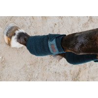 Ventas de polo EQUITHÈME Negro