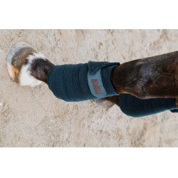 Ventas de polo EQUITHÈME Verde oscuro