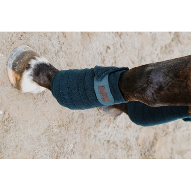 Ventas de polo EQUITHÈME Verde oscuro