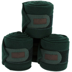 Ventas de polo EQUITHÈME Verde oscuro