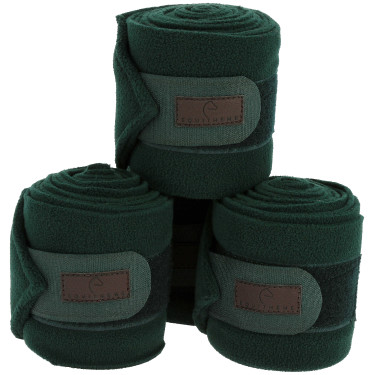 Ventas de polo EQUITHÈME Verde oscuro