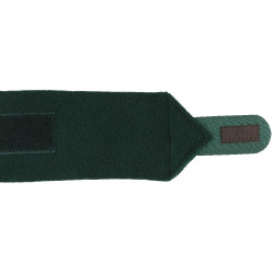 Ventas de polo EQUITHÈME Verde oscuro