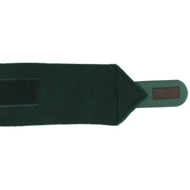 Ventas de polo EQUITHÈME Verde oscuro