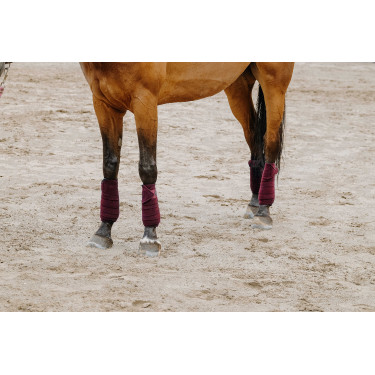 Ventas de polo EQUITHÈME Burdeos Ventas de polo EQUITHÈME Burdeos